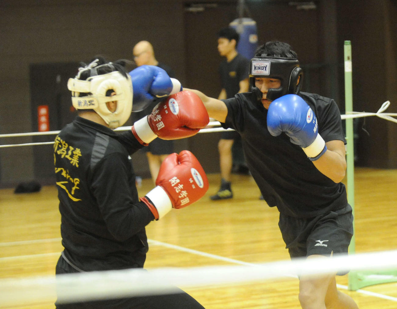 スパーリングで右ストレートをヒットさせる増田（右）