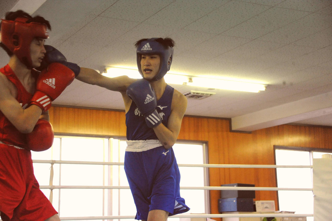右ストレートをヒットさせる新潟工・吉井（右）