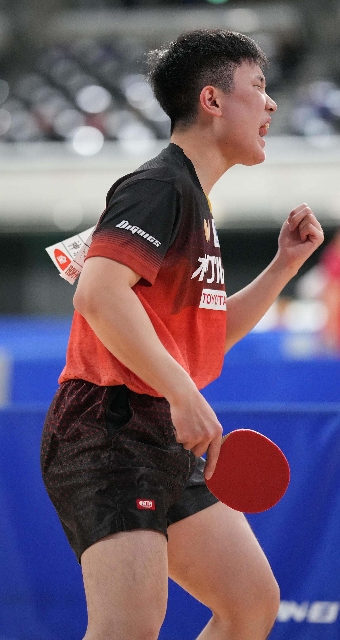 第5セット、ポイントを奪いガッツポーズする張本智（撮影・鈴木みどり）