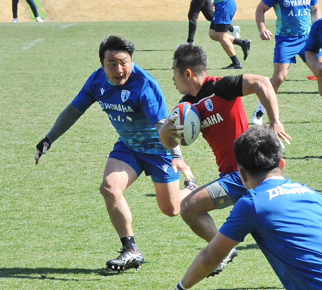 守備練習をする静岡ブルーレヴズの日野（左端）