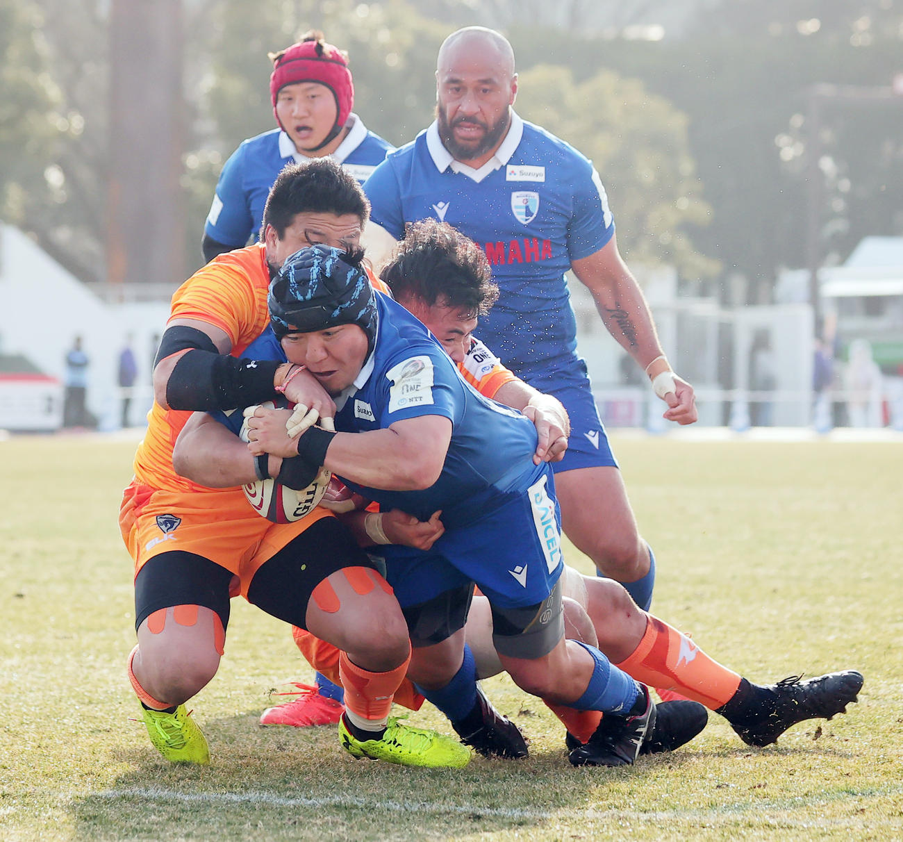 東京ベイ対静岡　後半、トライを決める静岡フッカー日野（手前）（撮影・野上伸悟）