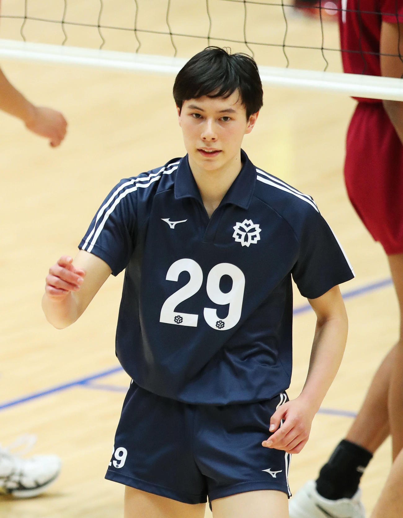 日体大の高橋藍