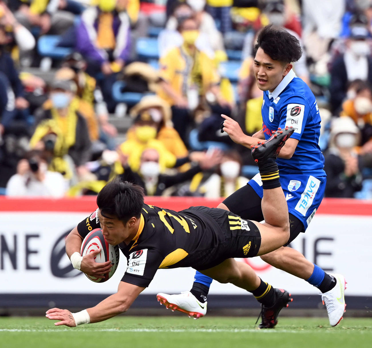 東京SG対静岡　後半、トライを決める東京SGSH斎藤（撮影・たえ見朱実）