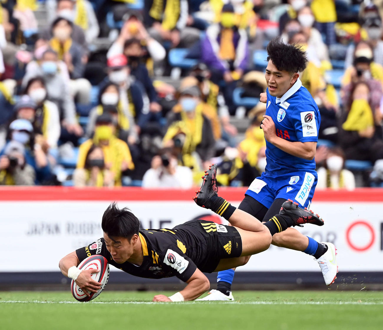 東京SG対静岡　後半、トライを決める東京SGSH斎藤（撮影・たえ見朱実）