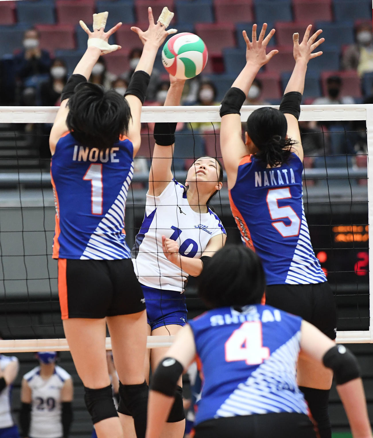 黒鷲旗　東レ対東海大　第1セット、東海大佐々木がスパイクを放つ（撮影・滝沢美穂子）