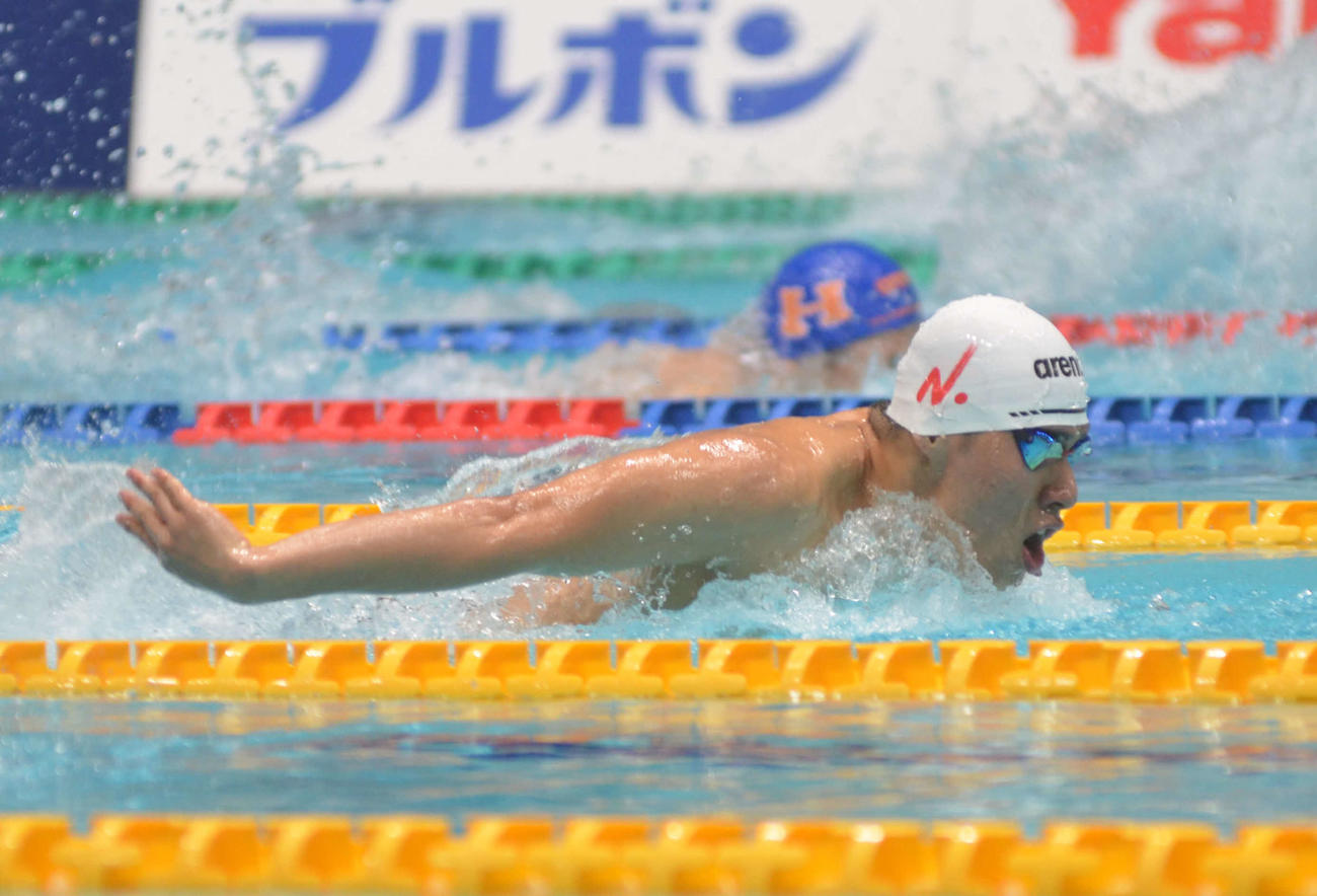 男子400メートル個人メドレー予選を全体1位で通過した本多灯のバタフライ（撮影・吉池彰）