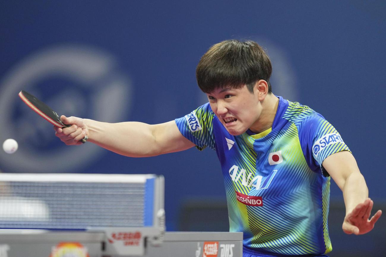 男子1次リーグ　イラン戦でプレーする張本智和（共同）