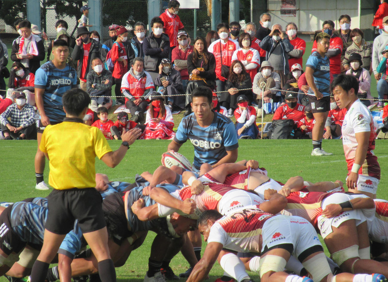 スクラムにボールを入れる神戸SH小畑（中央）（撮影・益子浩一）