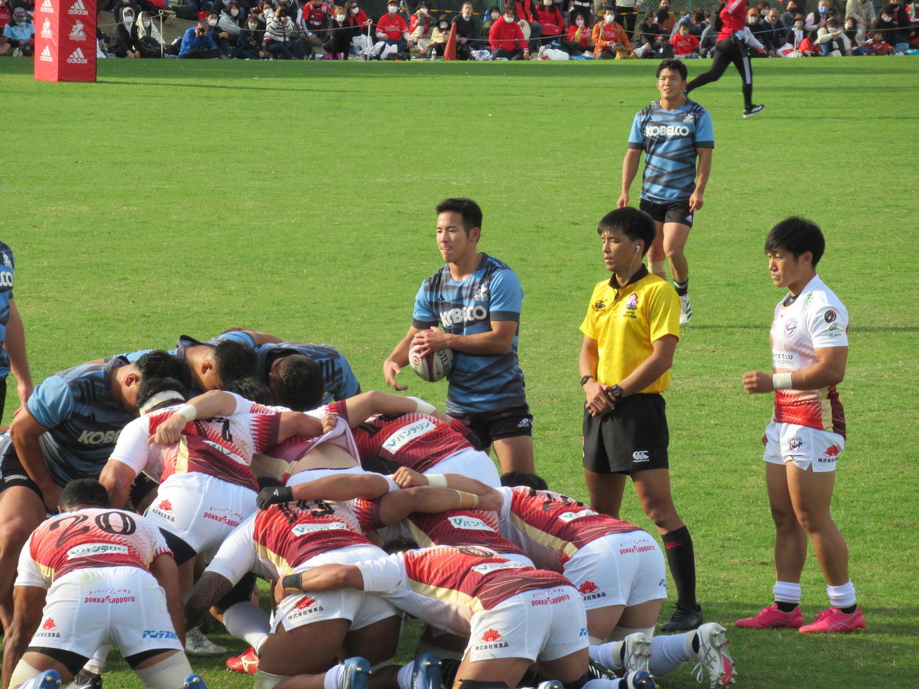 スクラムにボールを入れる神戸のSH小畑（中央）（撮影・益子浩一）