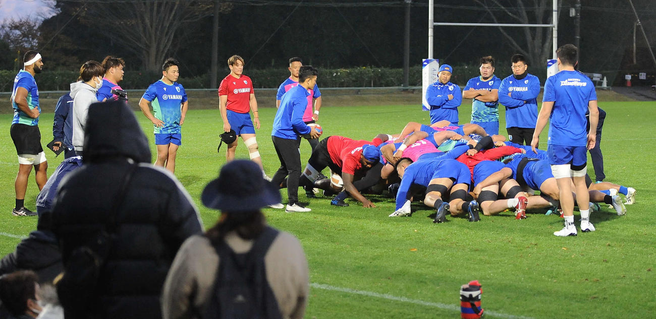 ファン（左手前）が見つめる中、スクラム練習をする静岡ブルーレヴズのFW陣