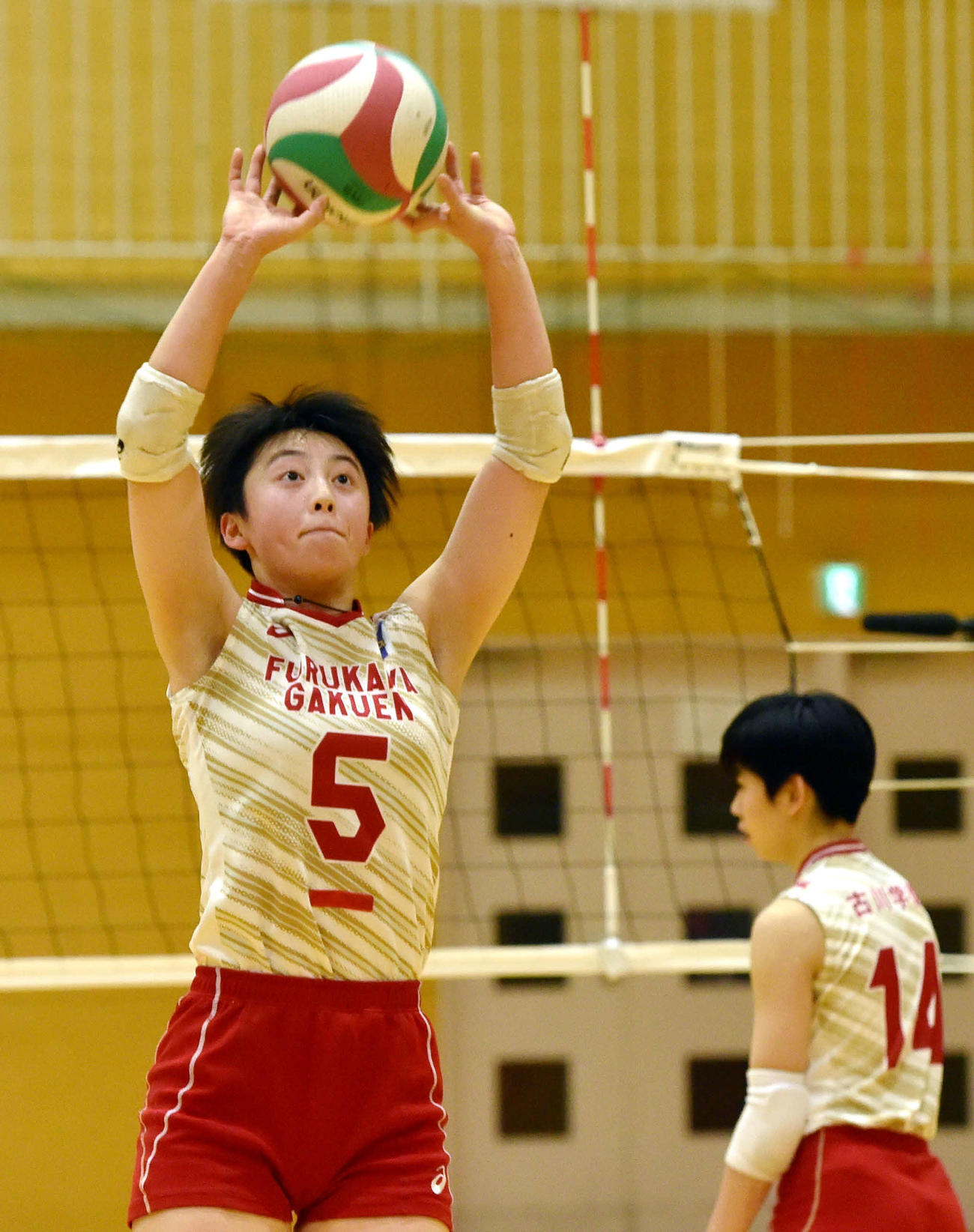トスを上げる古川学園・熊谷