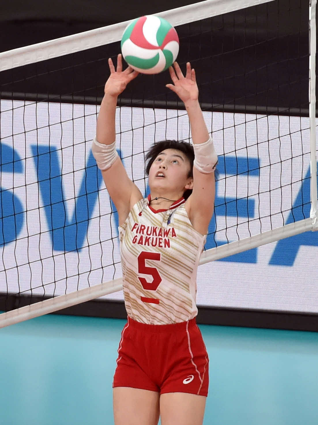 誠英対古川学園　第5S、トスを上げる古川学園・熊谷（撮影・相沢孔志）