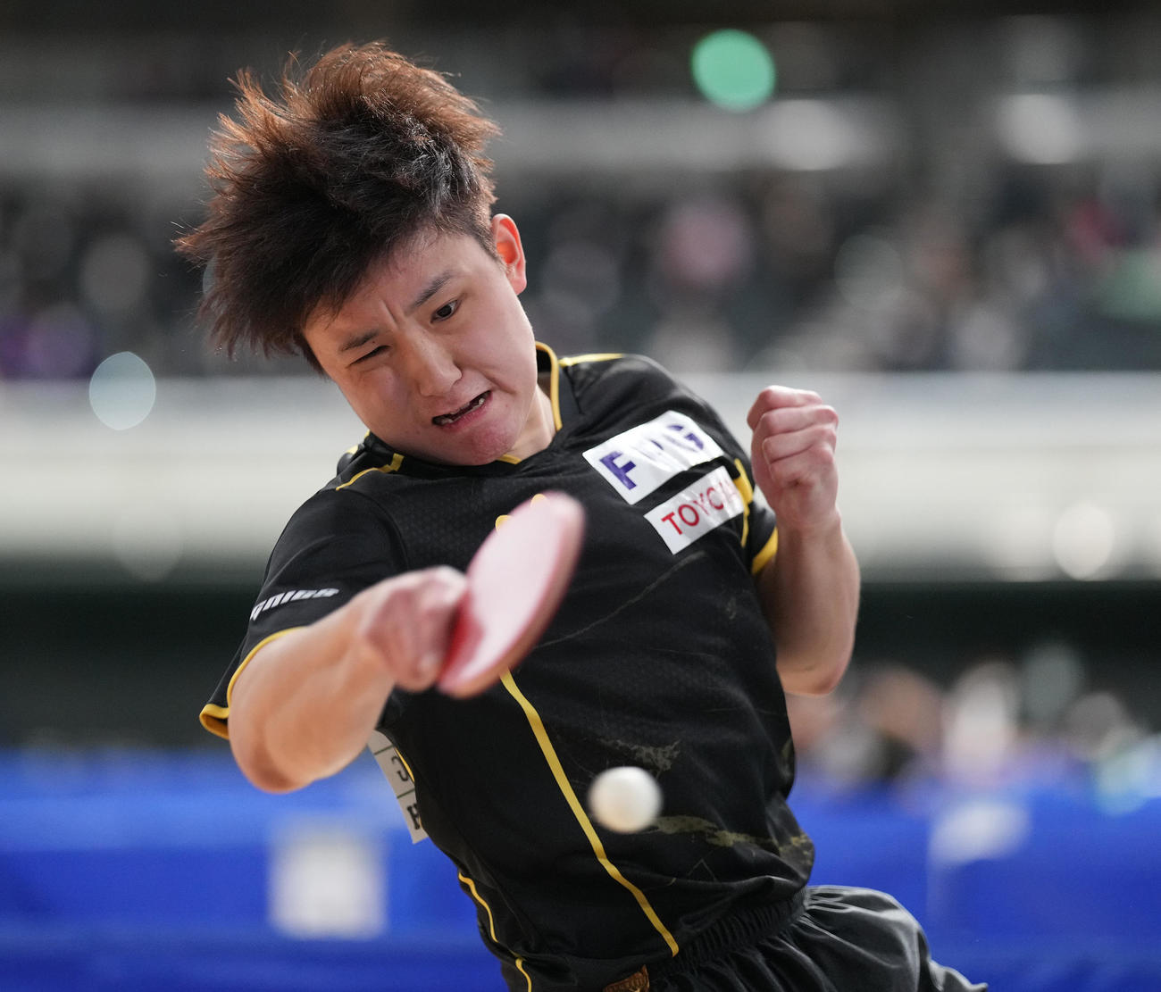 男子シングルス5回戦の第4ゲーム、打ち返す張本智（撮影・鈴木みどり）