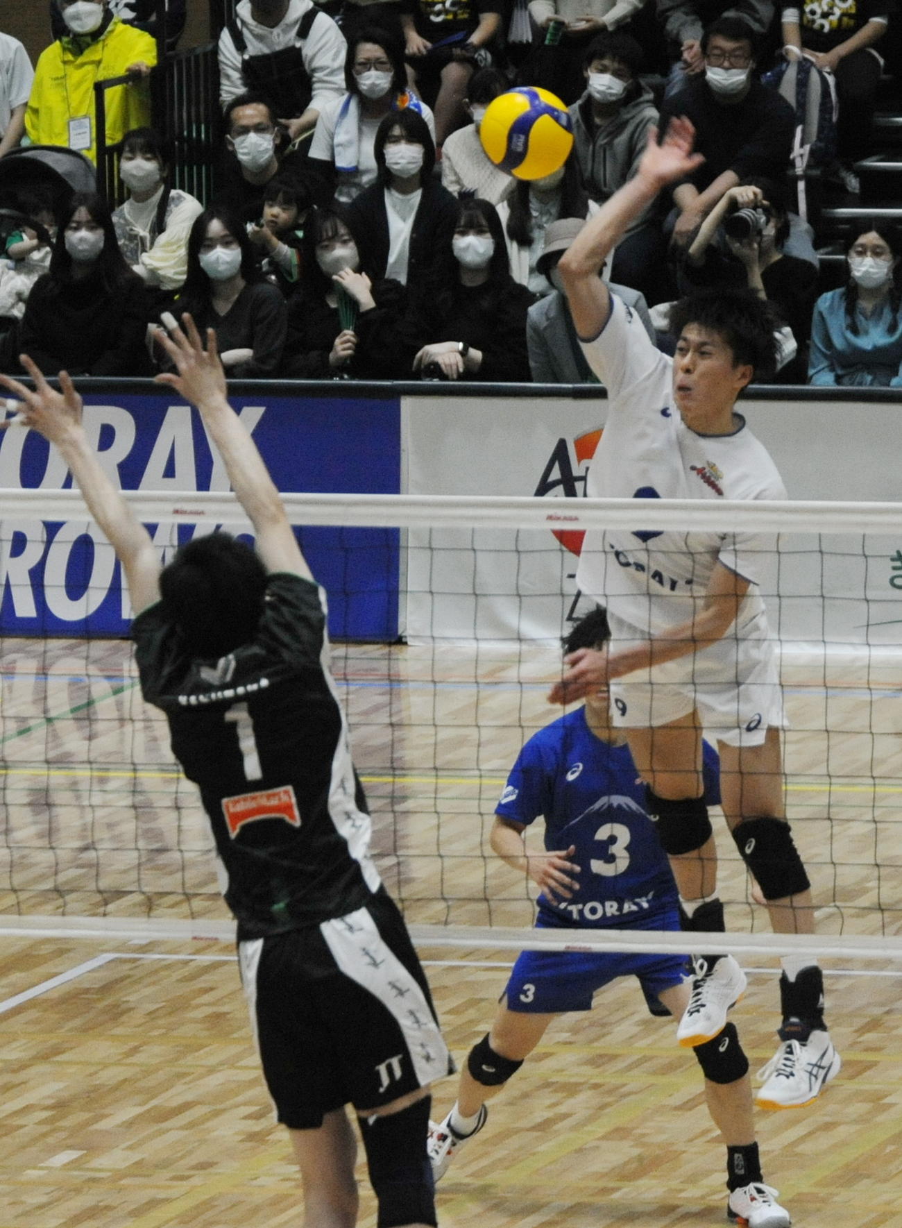 初の沼津開催で19得点と活躍した東レOH富田（右）　