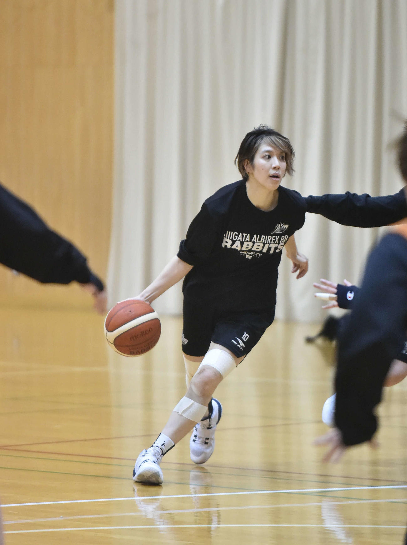 西垂水美桜（23年3月撮影）