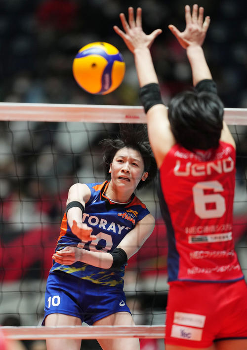 バレーボール toray バレーボール ノースリーブ バレーボール TORAY