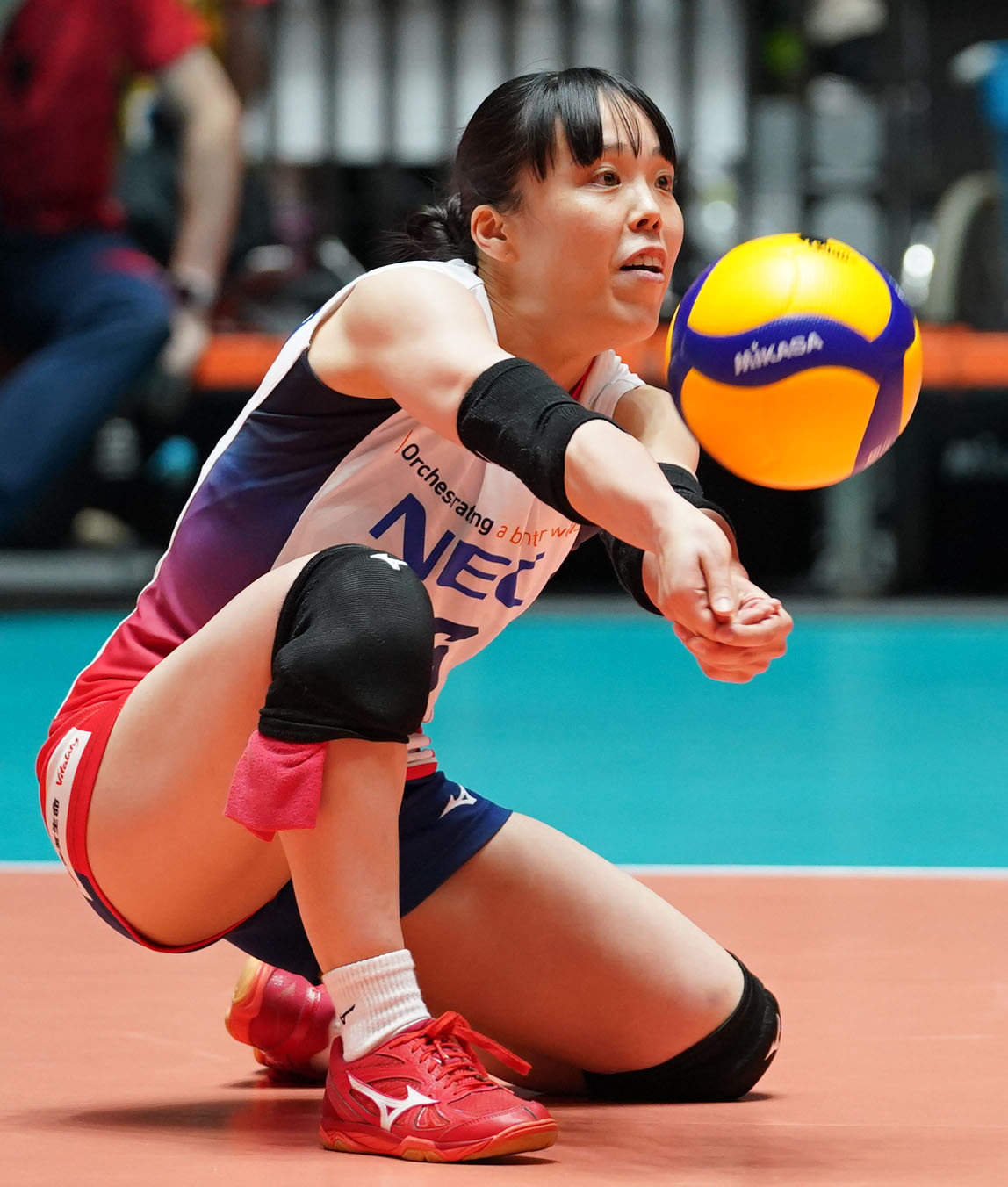 東レ対NEC　トスを上げるNECの小島（撮影・横山健太）