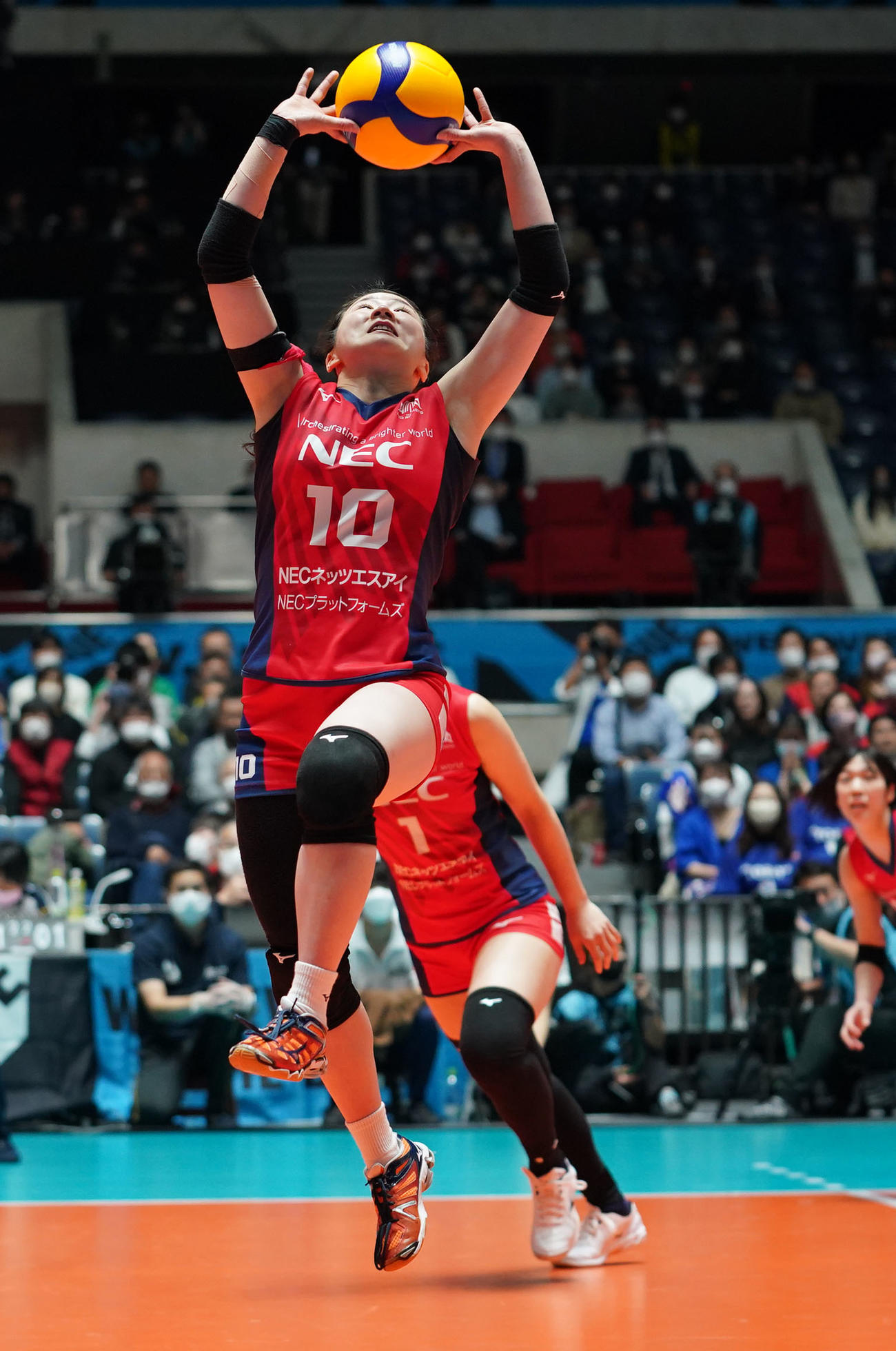東レ対NEC　トスを上げるNECの沢田（撮影・横山健太）