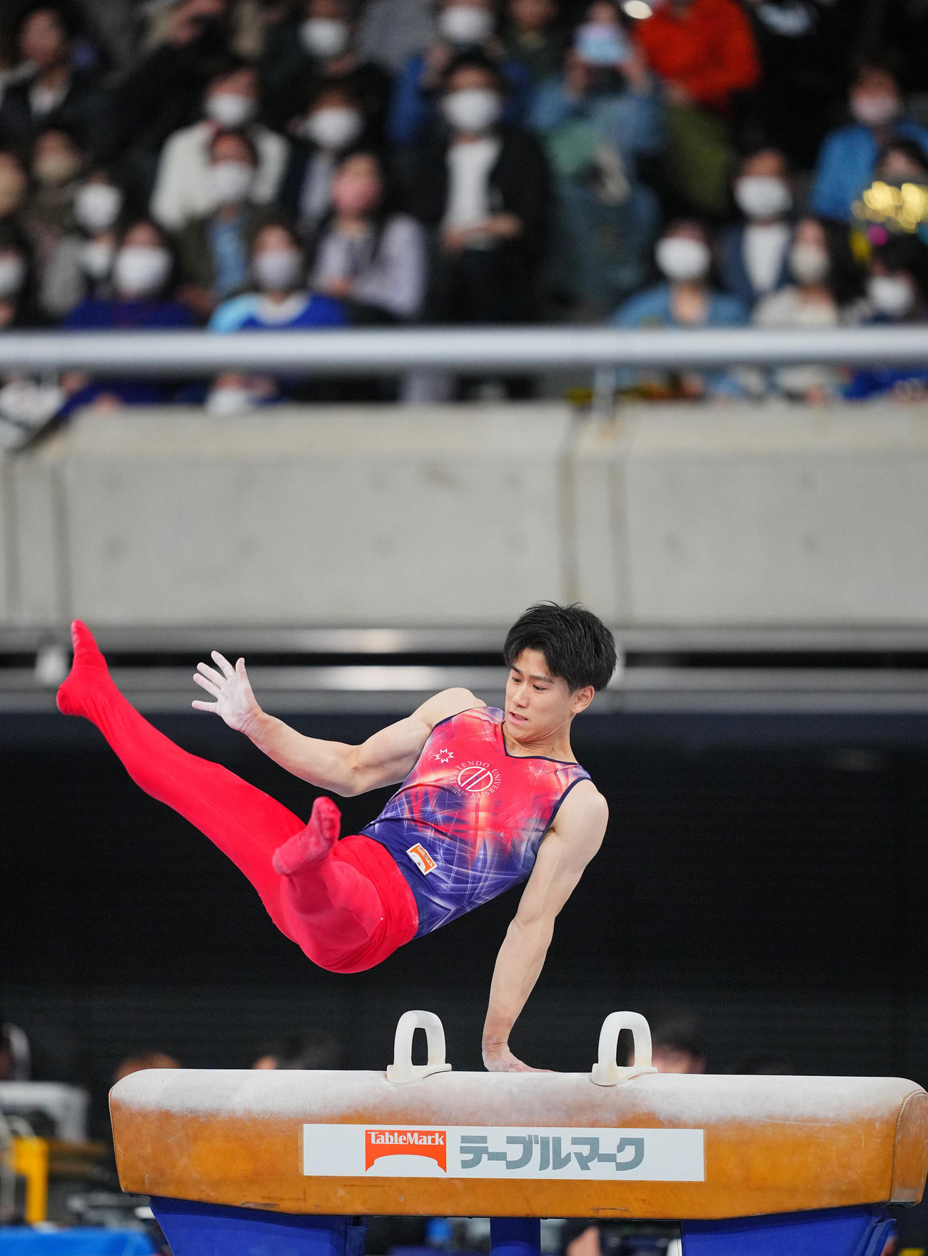 男子決勝、あん馬の演技をする橋本（撮影・垰建太）
