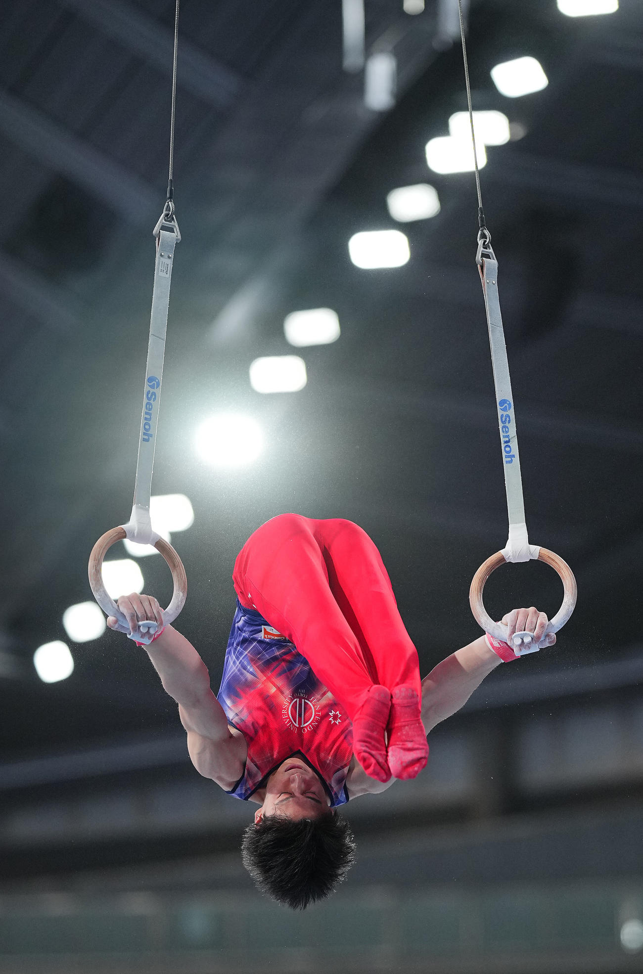 男子決勝、つり輪の演技をする橋本（撮影・垰建太）