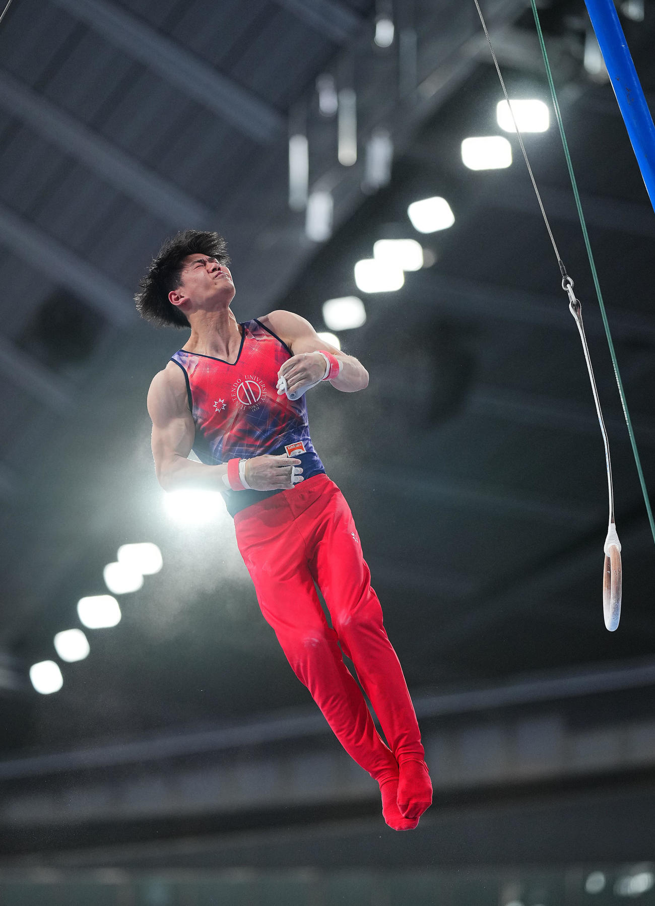 男子決勝、つり輪から着地へ向かう橋本（撮影・垰建太）