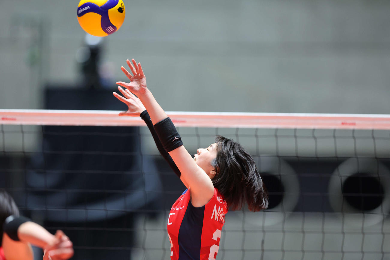 トスを上げる中川（C）NEC RED ROCKETS
