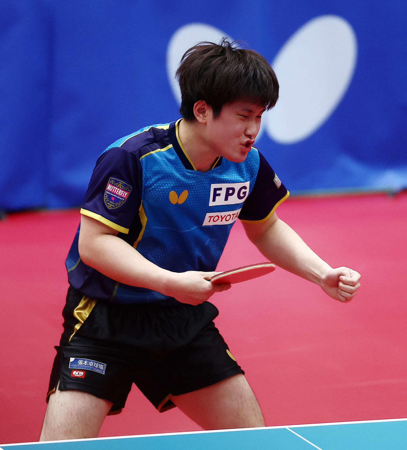 男子1回戦　ポイントする張本（撮影・河田真司）