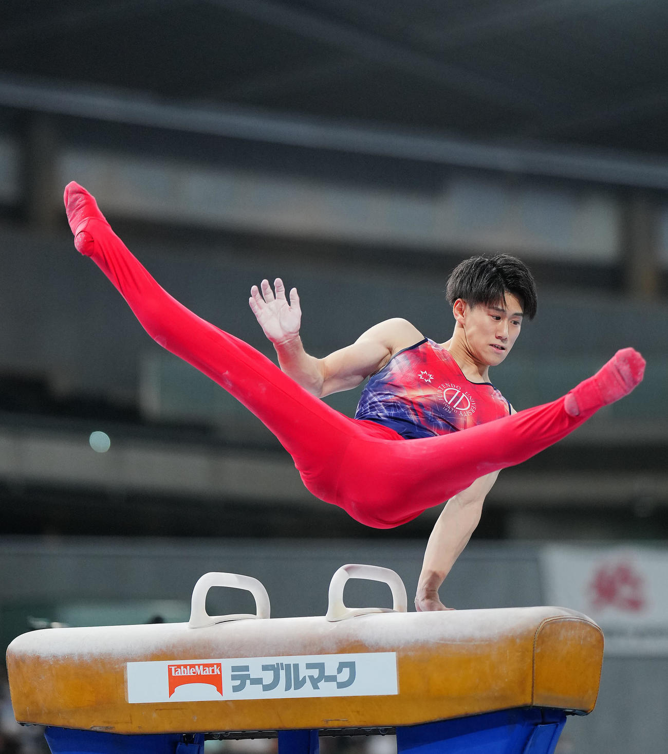 あん馬の演技をする橋本（撮影・垰建太）