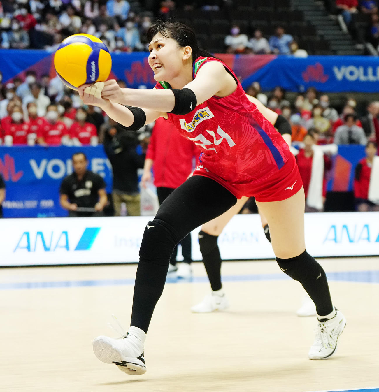 日本対クロアチア　第1セット、レシーブする女子日本代表の入沢（撮影・江口和貴）