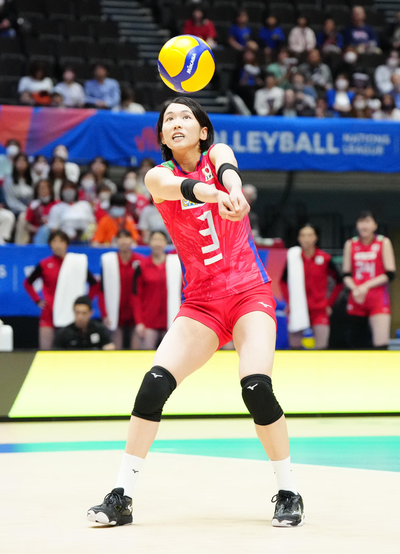 日本対クロアチア　第1セット、レシーブする女子日本代表の古賀（撮影・江口和貴）