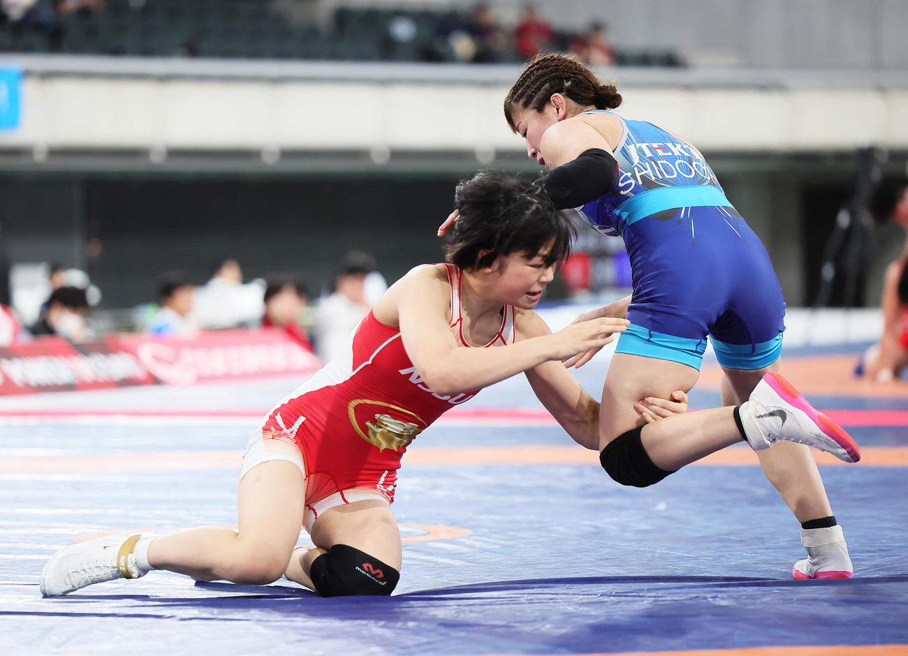 女子53キロ級準々決勝　藤波（左）は志土地を攻める（撮影・足立雅史）