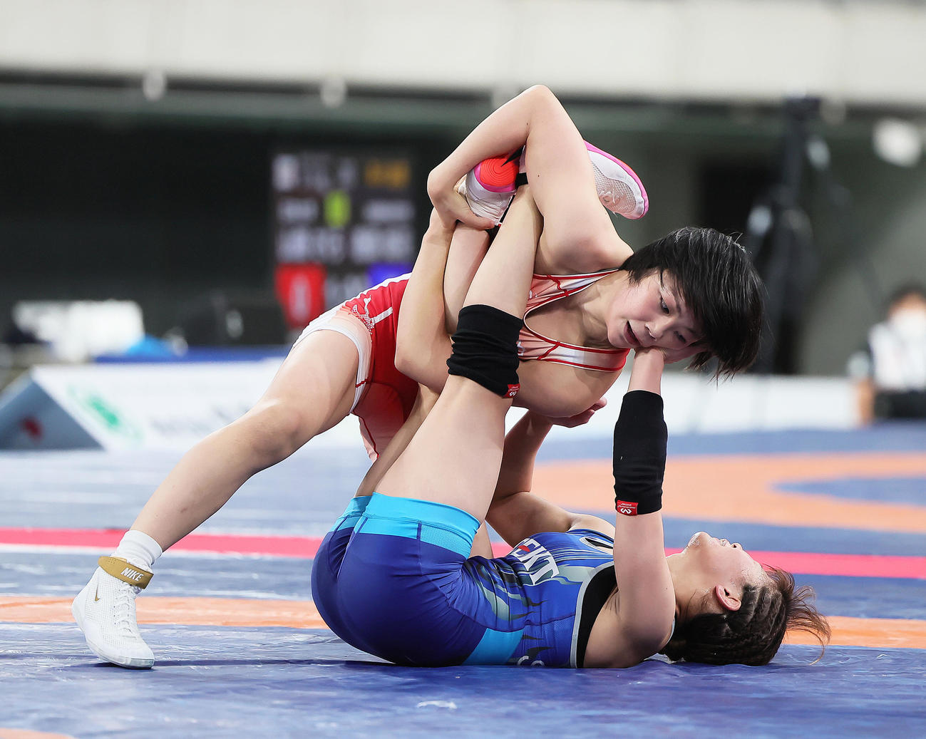 女子53キロ級準々決勝　藤波（上）は志土地を攻める（撮影・足立雅史）