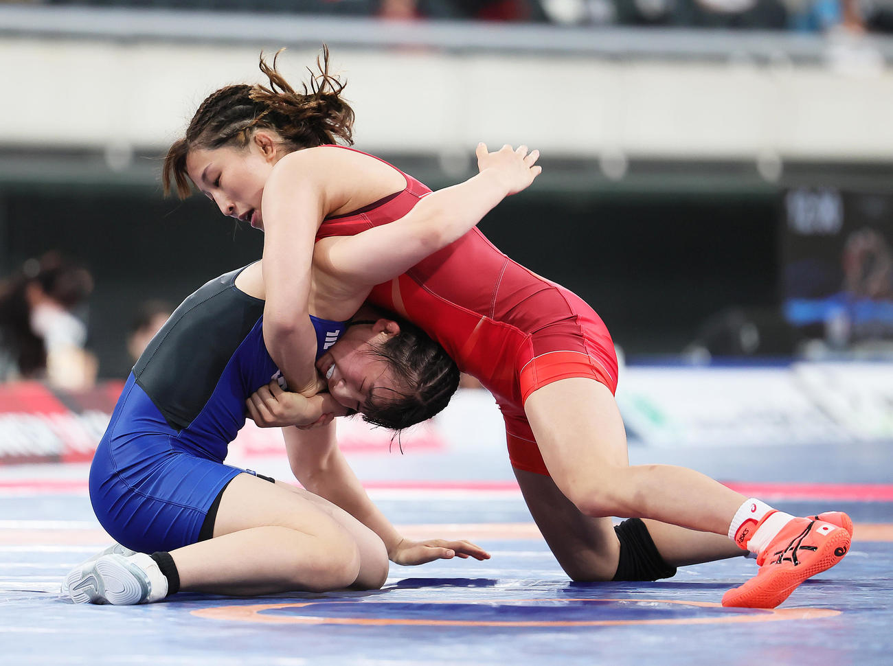 女子50キロ級準々決勝　須崎優衣（右）は伊藤海を攻める（撮影・足立雅史）
