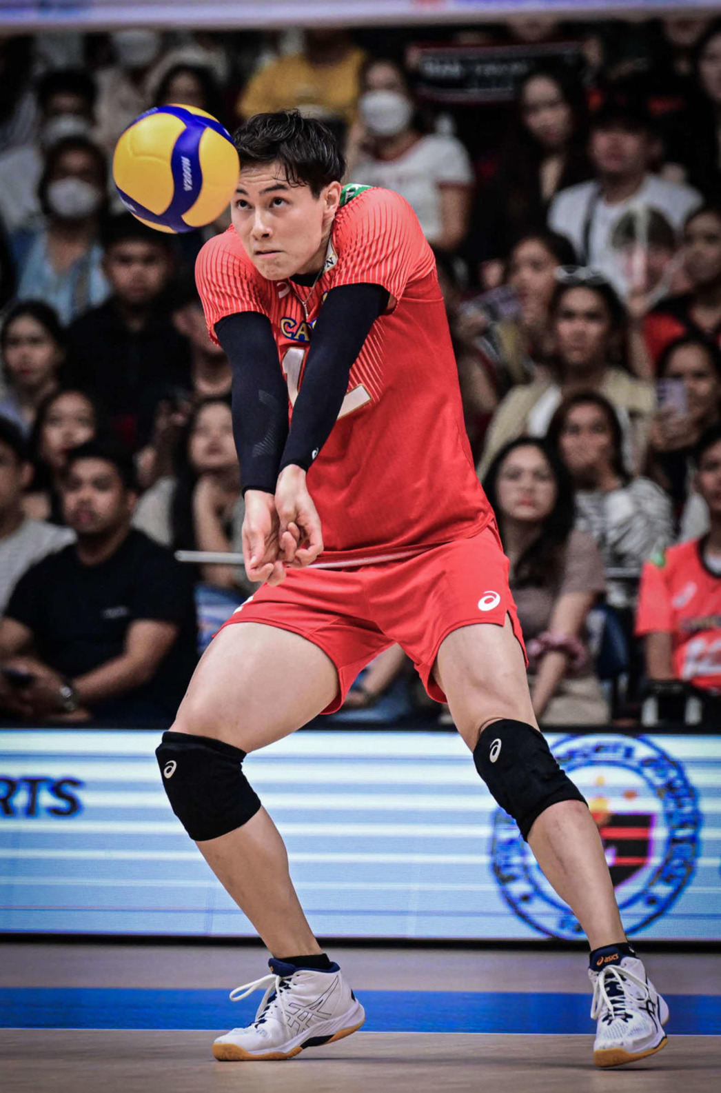 レシーブする高橋藍（C）FIVB