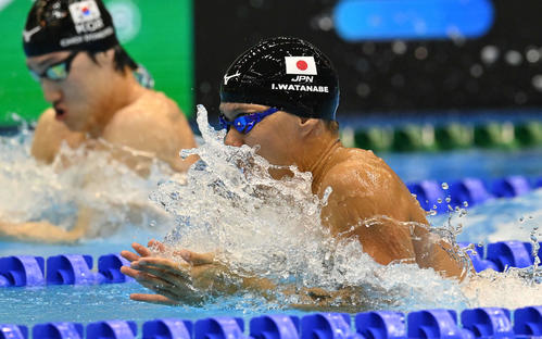 世界水泳2023福岡大会第17日　男子400メートルメドレーリレー予選、第2泳者の渡辺一平（撮影・岩下翔太）