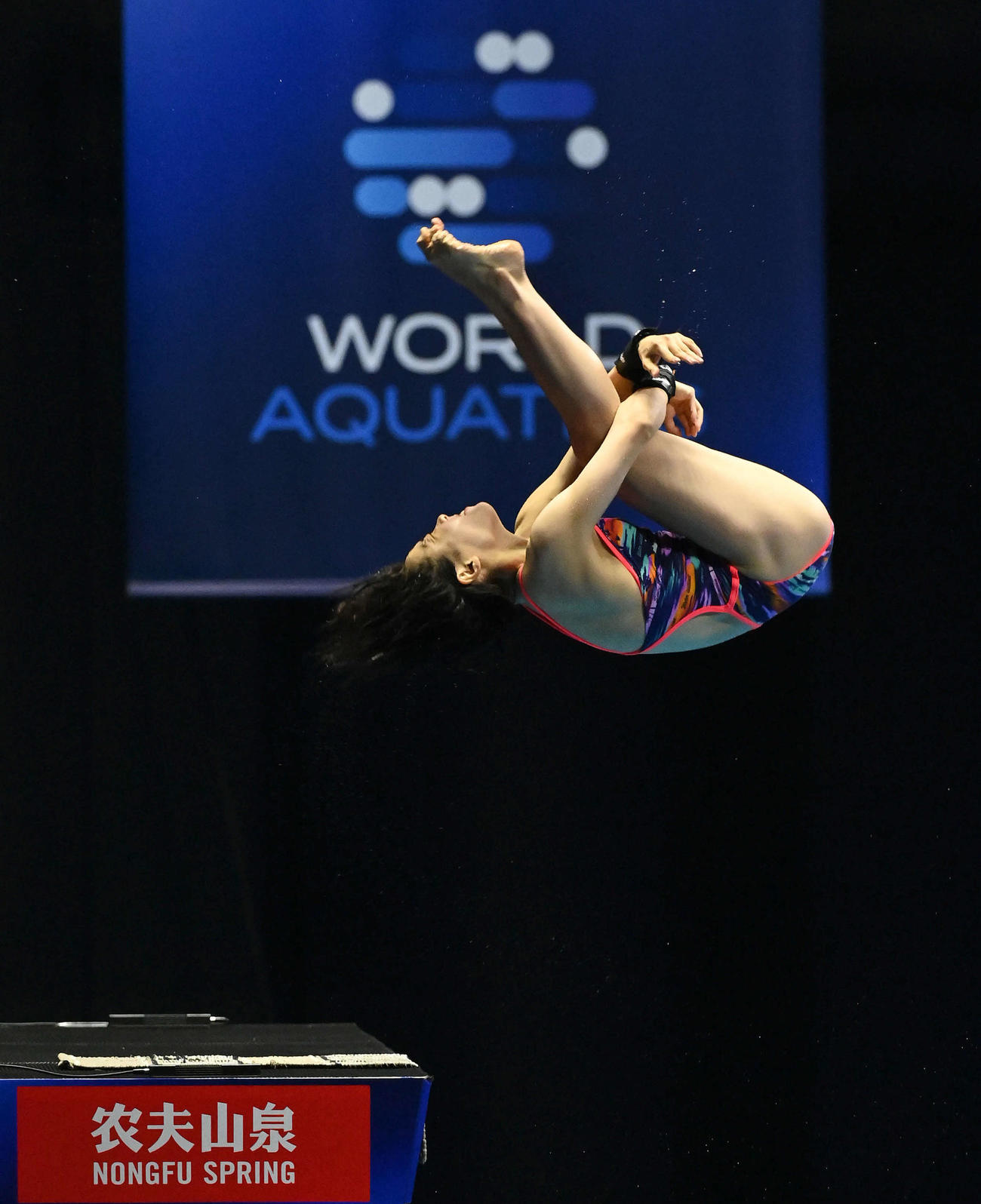 世界水泳2023福岡大会第5日　女子高飛び込み準決勝、2本目の演技を行う荒井祭里（撮影・岩下翔太）