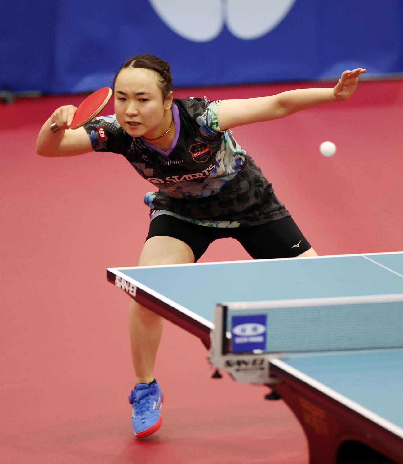 女子シングルス準決勝　ボールに食らいつく伊藤（撮影・宮地輝）