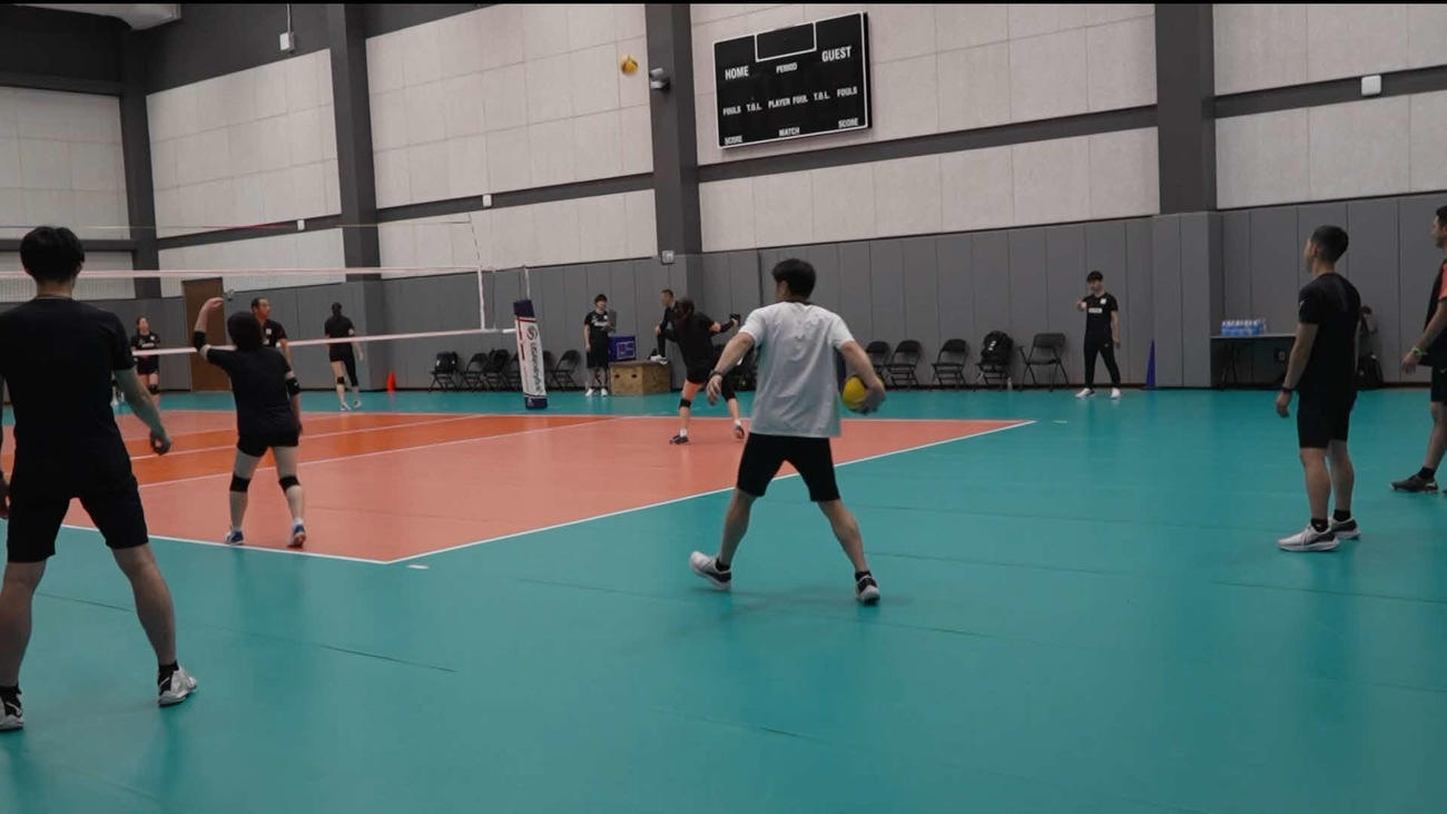 ボールを拾うスタッフ（C）JVA