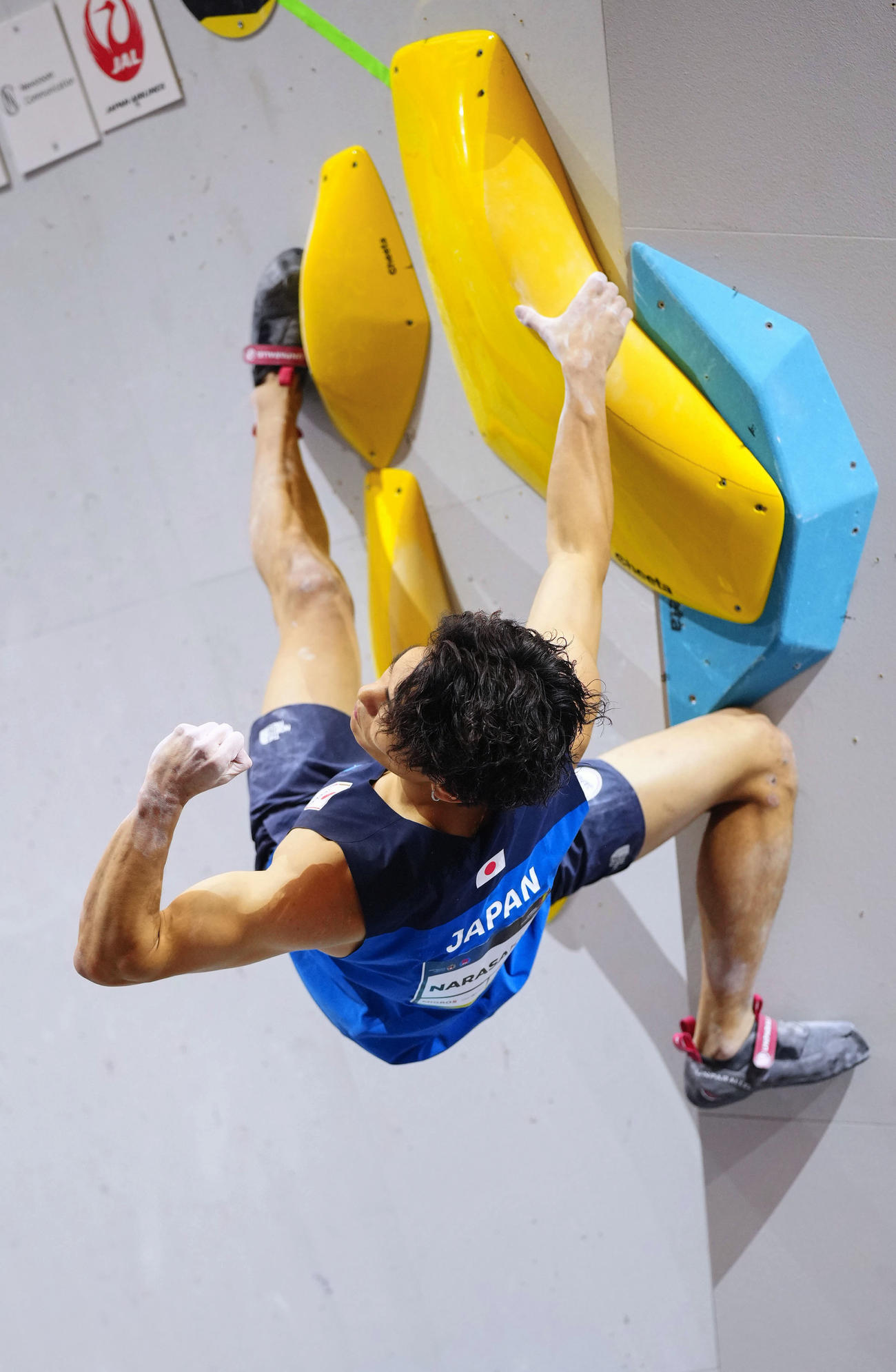 男子複合決勝　ボルダーの第4課題を完登した楢崎智亜（共同）