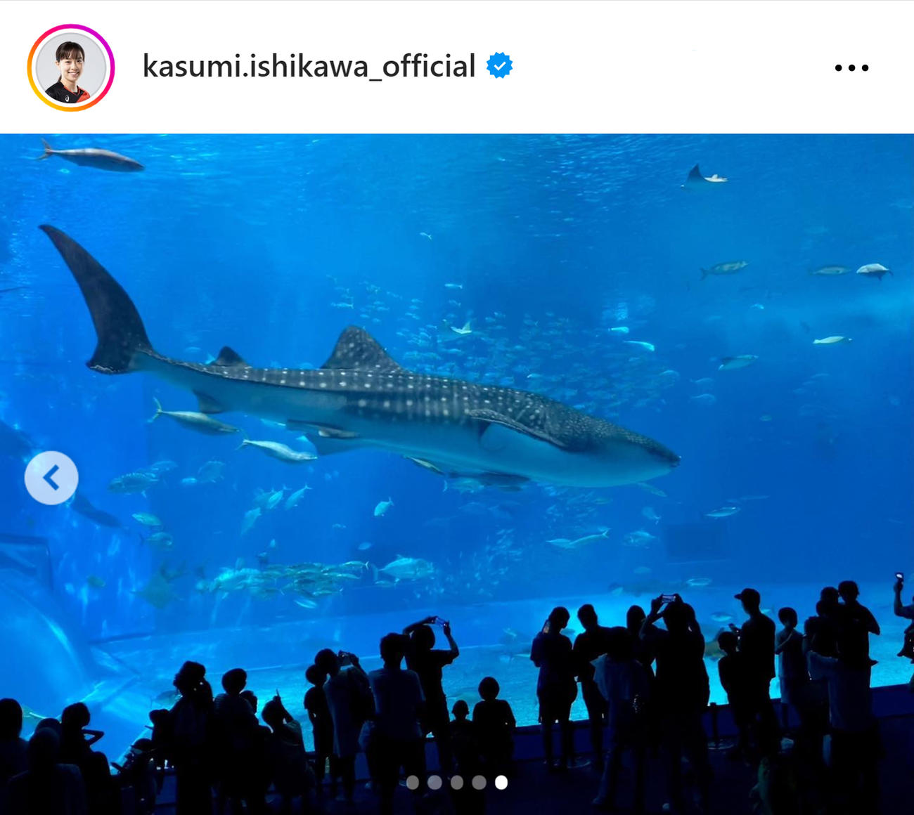 石川佳純さんのインスタグラムから