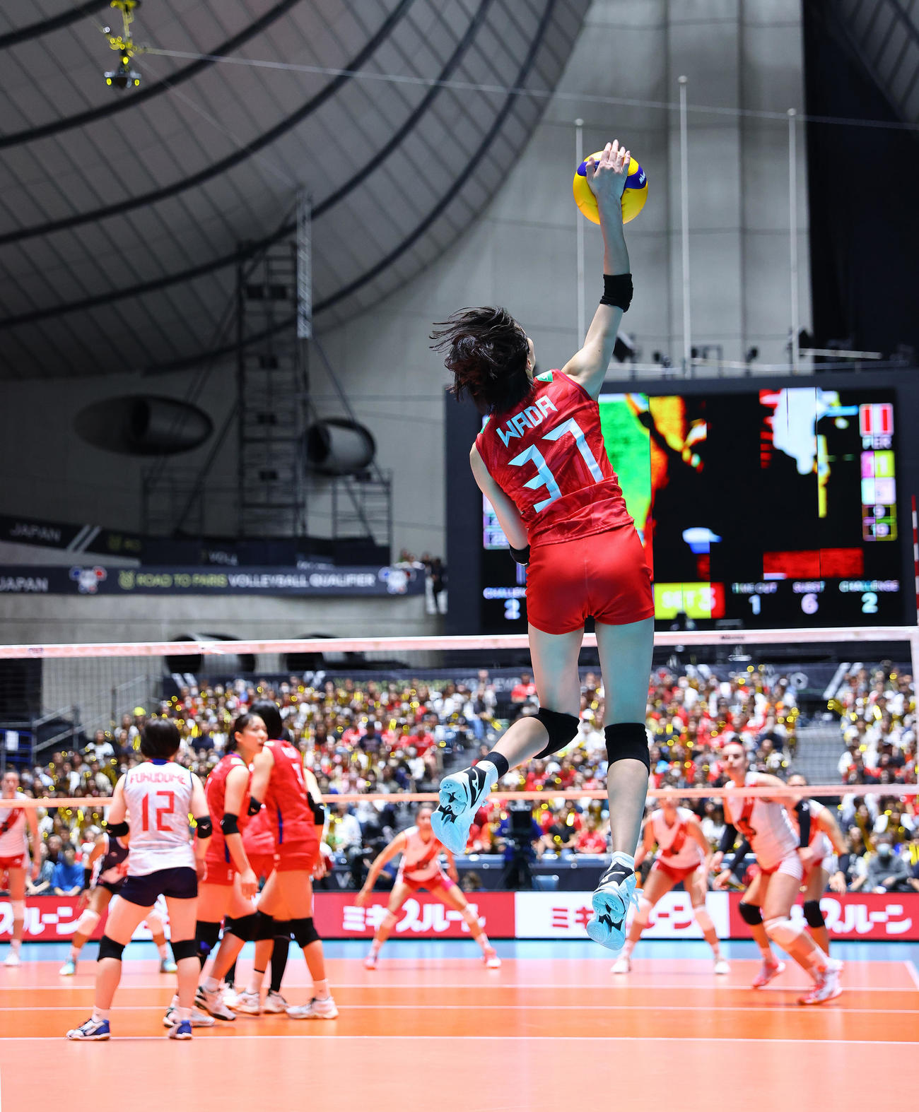 日本対ペルー　第3セット、サービスエースを決める和田（撮影・垰建太）