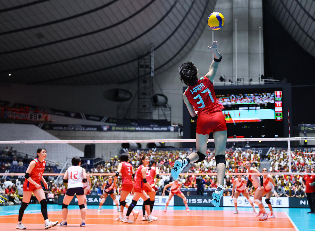 日本対ペルー　第3セット、サービスエースを決める和田（撮影・垰建太）