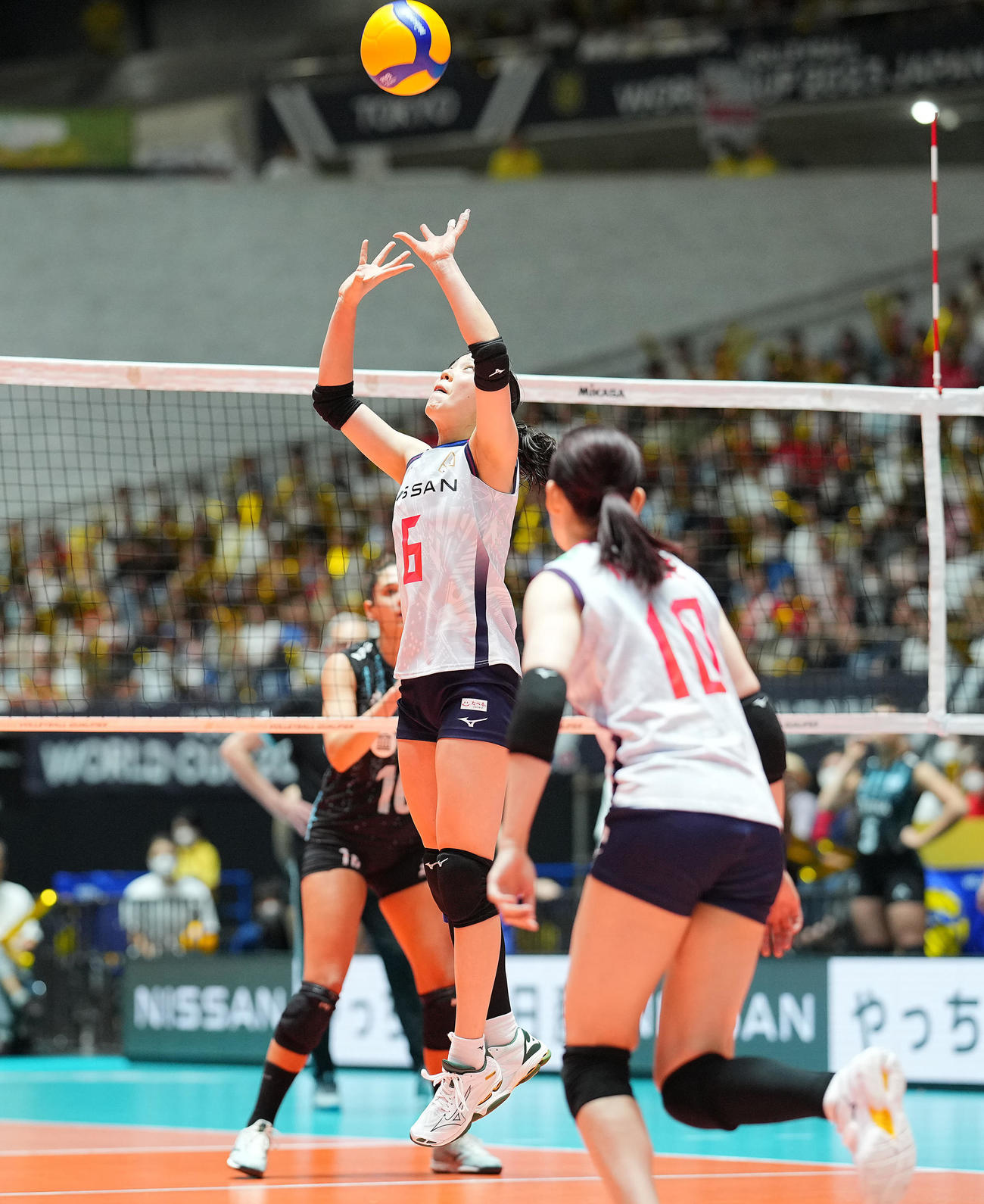 日本対アルゼンチン　第3セット、トスを挙げる関（撮影・垰建太）
