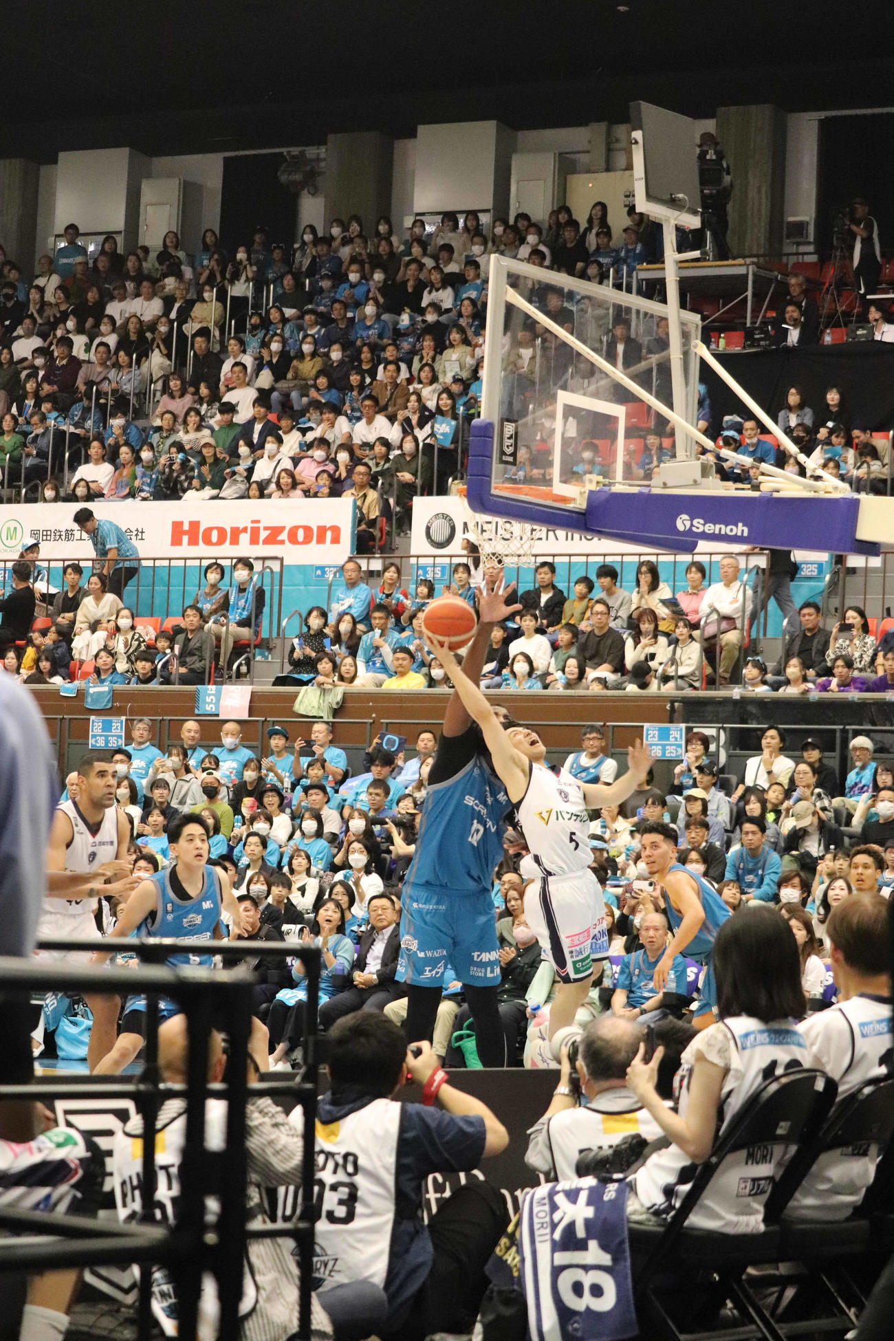 シュートを打つ横浜BCの河村勇輝（撮影・竹本穂乃加）