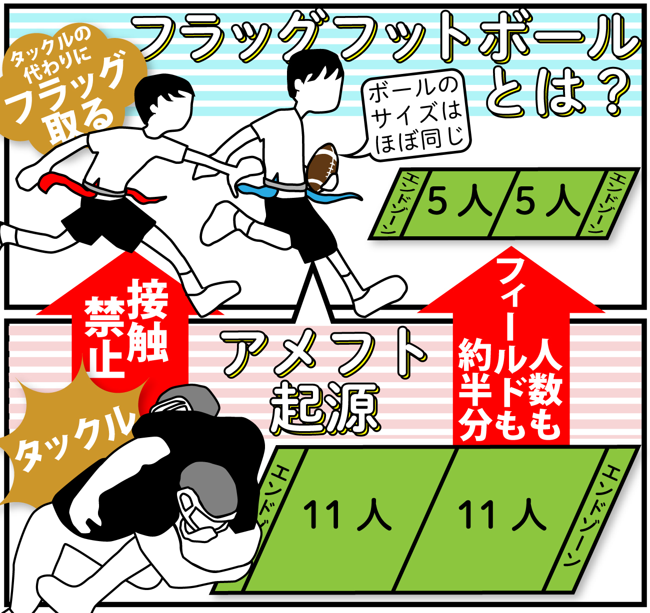 【イラスト】フラッグフットボールとは？