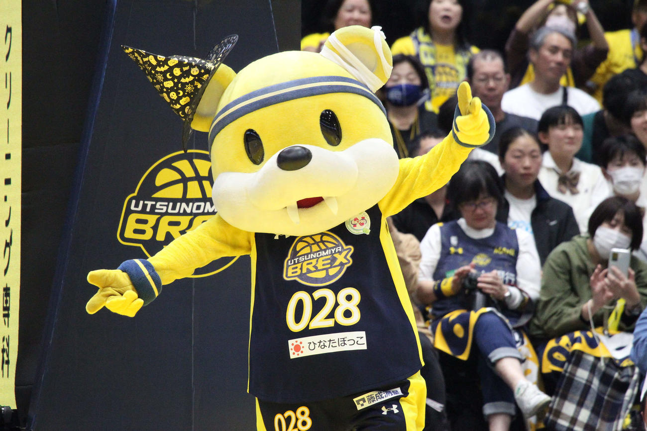 宇都宮対茨城　宇都宮のマスコット、ブレッキーは一足早くハロウィンの仮装で登場（撮影・沢田啓太郎）