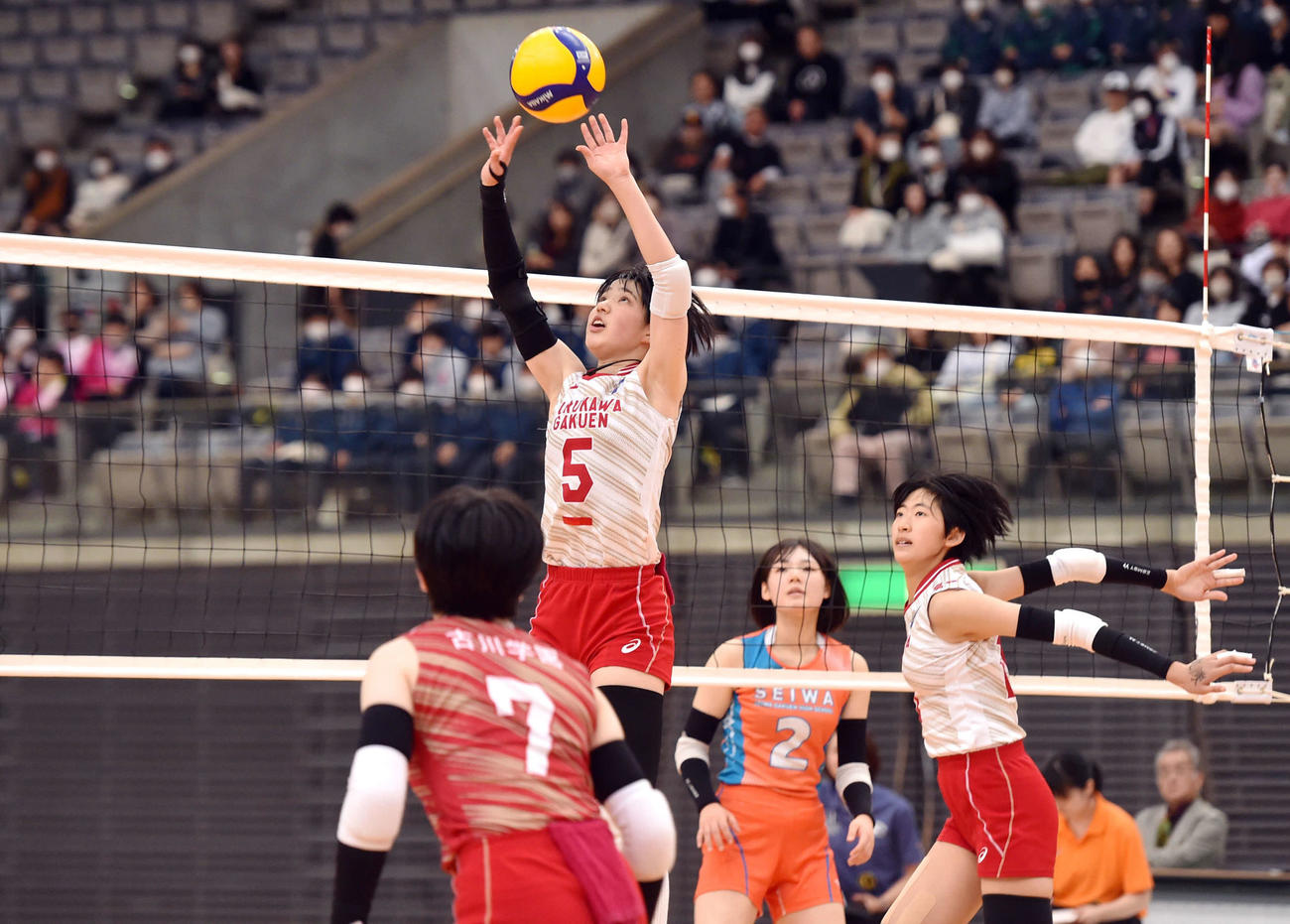 第3S、トスを上げる照井莉