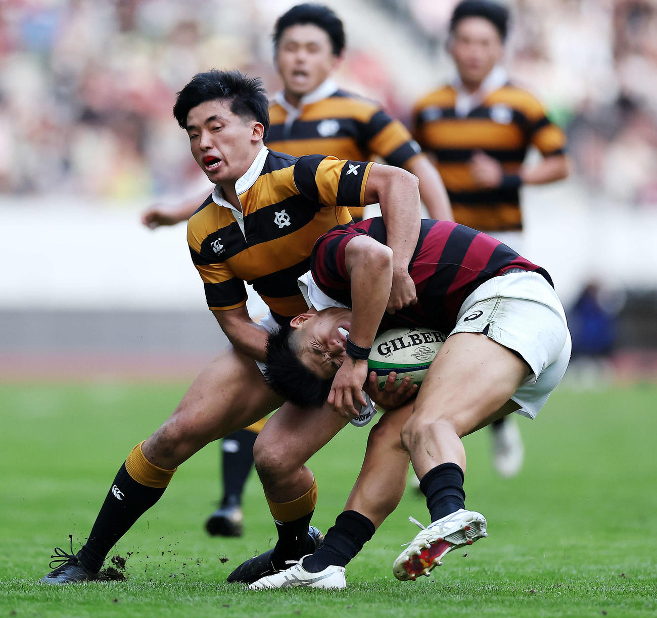 早大対慶大　後半、タックルされる早大WTB矢崎（右）（撮影・河田真司）