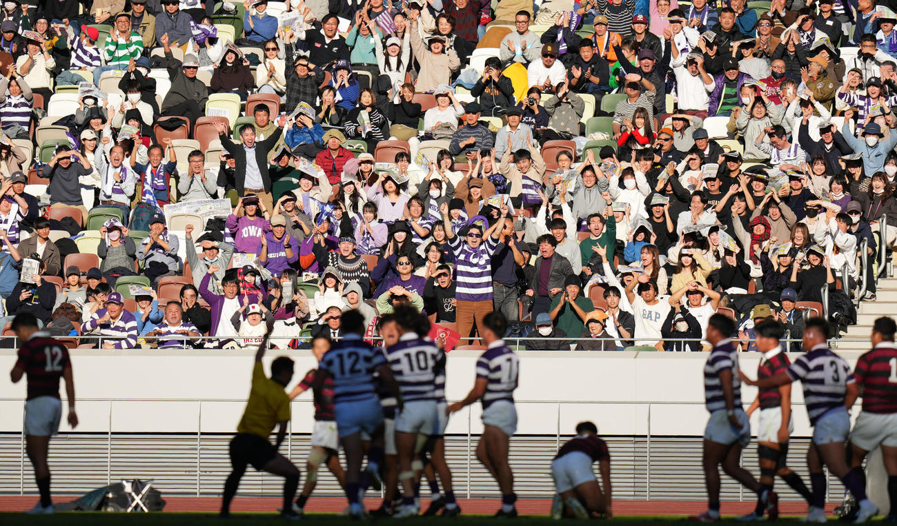 早大対明大　前半、フッカー松下がトライを決め歓喜する明大ファン（撮影・横山健太）
