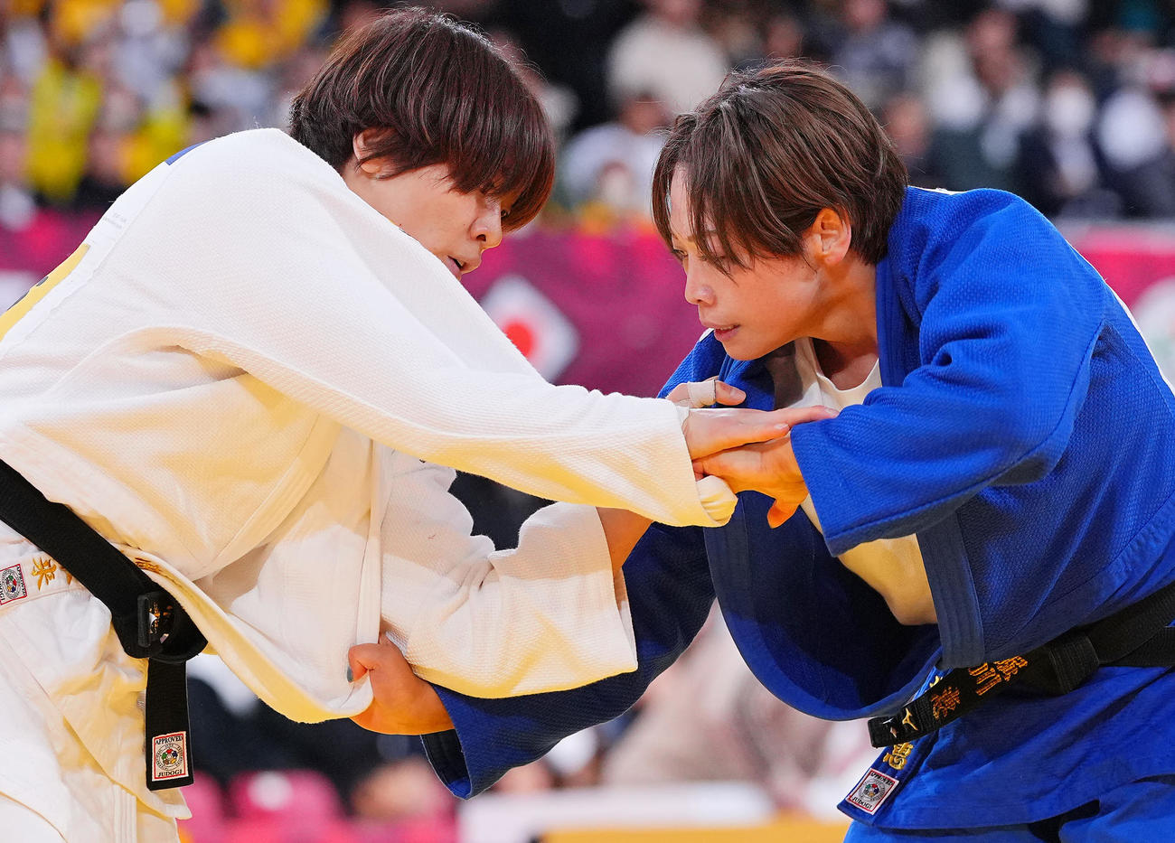 女子63キロ級、準々決勝で対戦する高市（白）と堀川（撮影・垰建太）